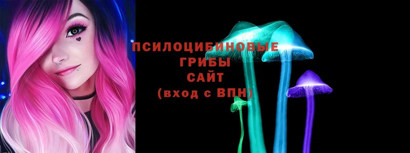 mega зеркало  Нерчинск  Галлюциногенные грибы Psilocybe 